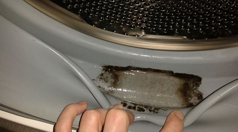 Pirmas dalykas, į kurį reikia atkreipti dėmesį, kai atsiranda pelėsių kvapas, yra skalbyklės būklė