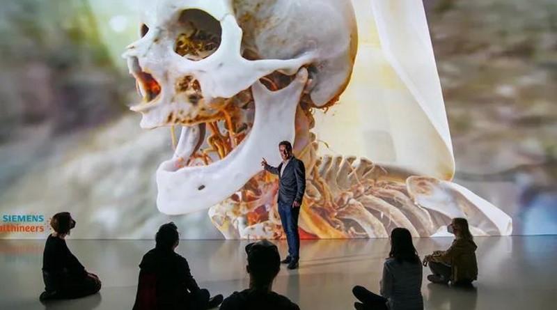 Cheminės medžiagos, iš kurių sudarytas žmogus