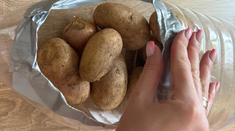 Organizuojame daržovių laikymą