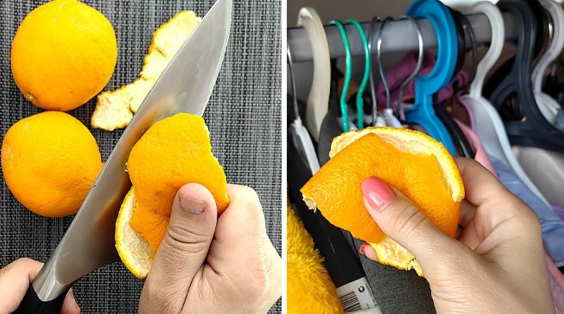 Citrusų kvapas namuose